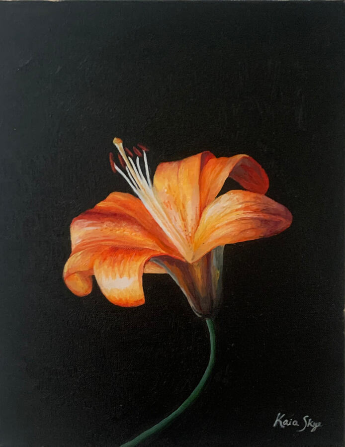 Untitled Untitled